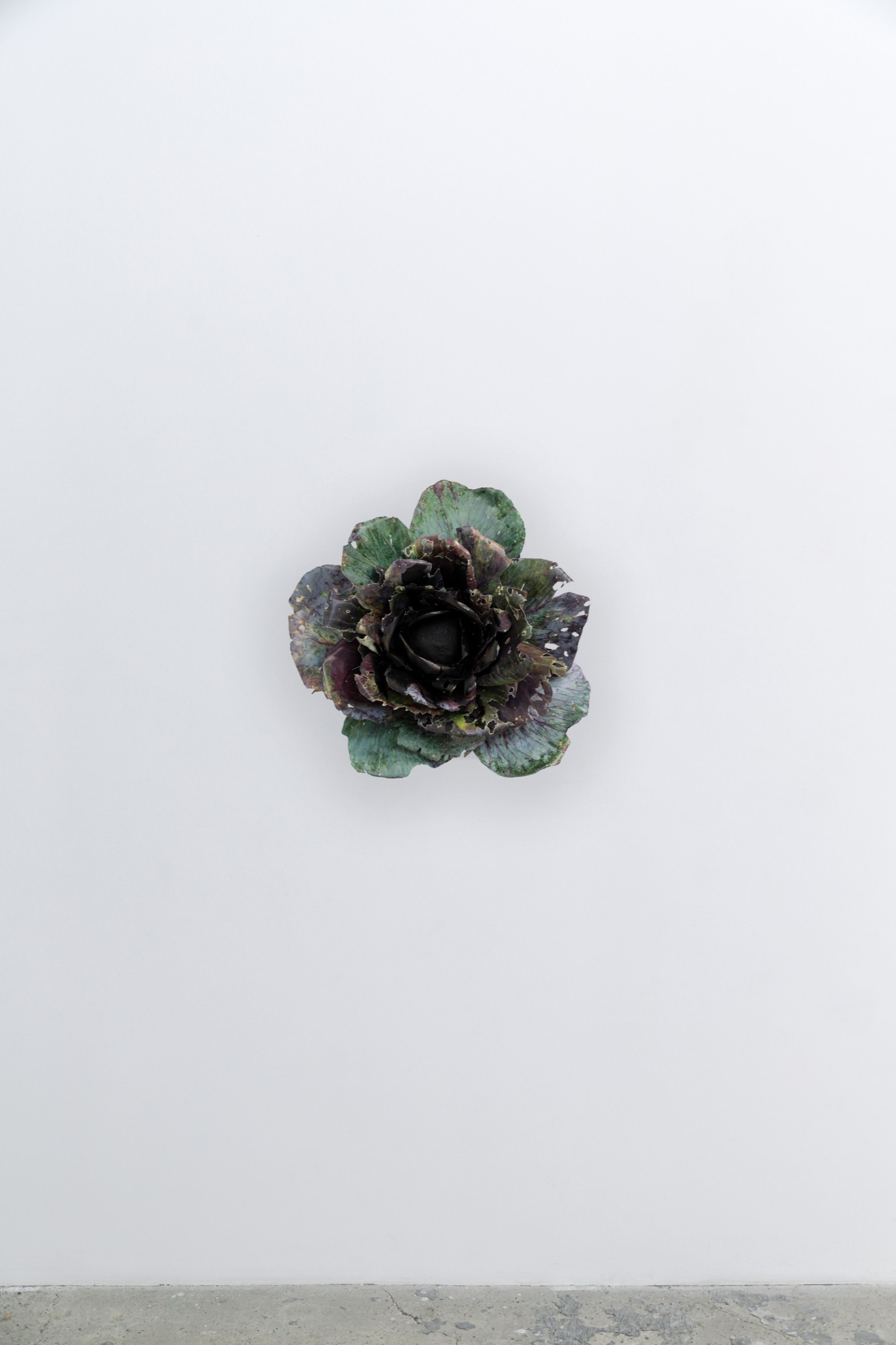 Red Cabbage | 2021 | Photo: kunst-dokumentation.com